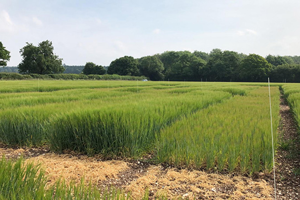 Agrii iFarm Dorset